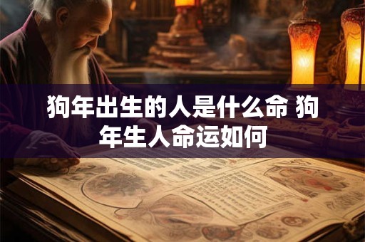狗年出生的人是什么命 狗年生人命运如何 狗年出生的人是什么命 狗年生人命运如何