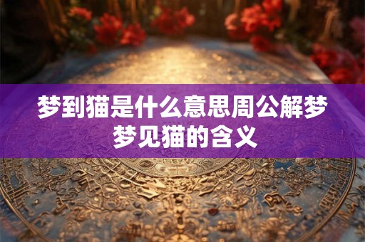 梦到猫是什么意思周公解梦 梦见猫的含义 梦到猫是什么意思周公解梦 梦见猫的含义