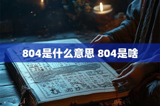 804是什么意思 804是啥 804是什么意思 804是啥