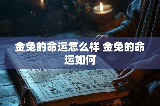 金兔的命运怎么样 金兔的命运如何