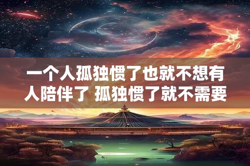 一个人孤独惯了也就不想有人陪伴了 孤独惯了就不需要陪伴了吗