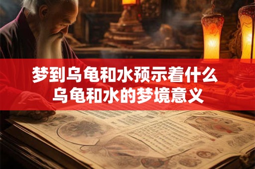 梦到乌龟和水预示着什么 乌龟和水的梦境意义 梦到乌龟和水预示着什么 乌龟和水的梦境意义