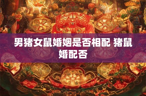 男猪女鼠婚姻是否相配 猪鼠婚配否 男猪女鼠婚姻是否相配 猪鼠婚配否