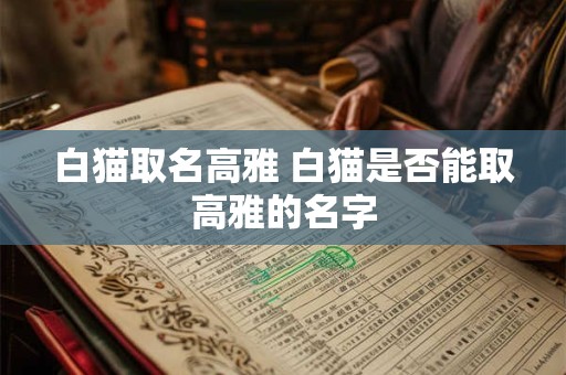 白猫取名高雅 白猫是否能取高雅的名字 白猫取名高雅 白猫是否能取高雅的名字