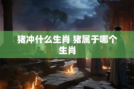 猪冲什么生肖 猪属于哪个生肖