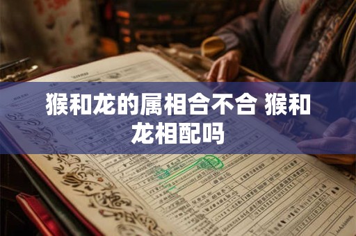 猴和龙的属相合不合 猴和龙相配吗 猴和龙的属相合不合 猴和龙相配吗