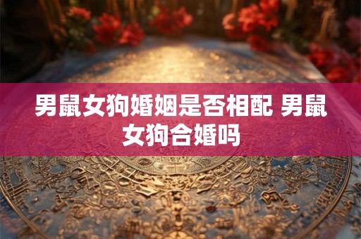 男鼠女狗婚姻是否相配 男鼠女狗合婚吗