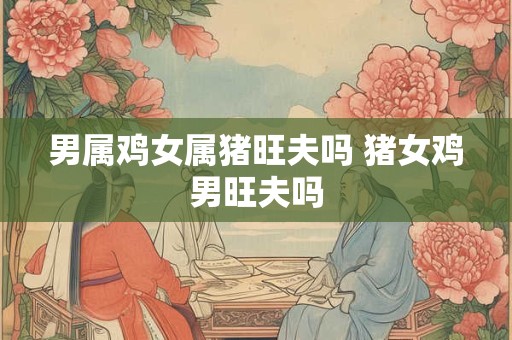 男属鸡女属猪旺夫吗 猪女鸡男旺夫吗 男属鸡女属猪旺夫吗 猪女鸡男旺夫吗