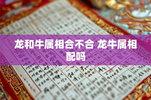 龙和牛属相合不合 龙牛属相配吗