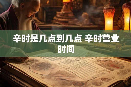 辛时是几点到几点 辛时营业时间