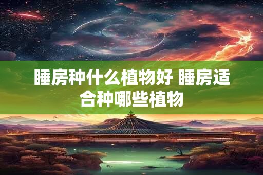 睡房种什么植物好 睡房适合种哪些植物 睡房种什么植物好 睡房适合种哪些植物