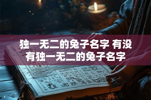 独一无二的兔子名字 有没有独一无二的兔子名字