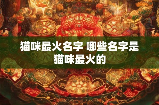 猫咪最火名字 哪些名字是猫咪最火的