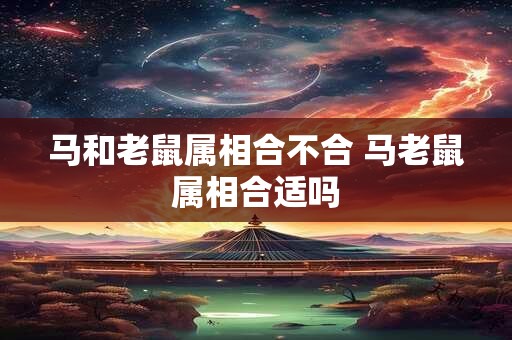 马和老鼠属相合不合 马老鼠属相合适吗