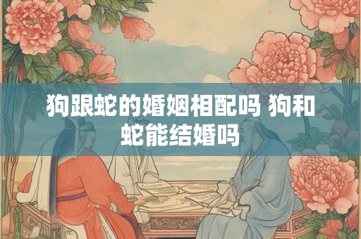 狗跟蛇的婚姻相配吗 狗和蛇能结婚吗