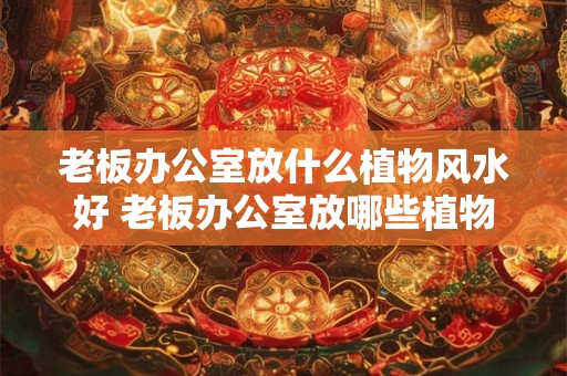 老板办公室放什么植物风水好 老板办公室放哪些植物风水好 老板办公室放什么植物风水好 老板办公室放哪些植物风水好