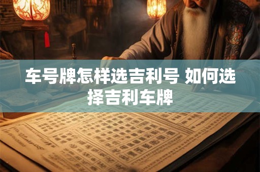 车号牌怎样选吉利号 如何选择吉利车牌