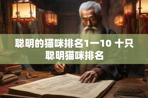聪明的猫咪排名1一10 十只聪明猫咪排名