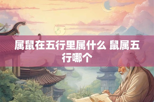 属鼠在五行里属什么 鼠属五行哪个 属鼠在五行里属什么 鼠属五行哪个