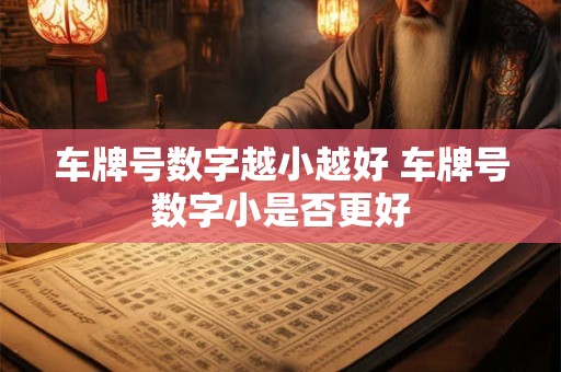 车牌号数字越小越好 车牌号数字小是否更好 车牌号数字越小越好 车牌号数字小是否更好