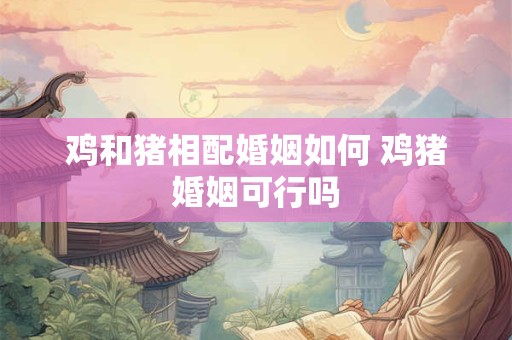 鸡和猪相配婚姻如何 鸡猪婚姻可行吗