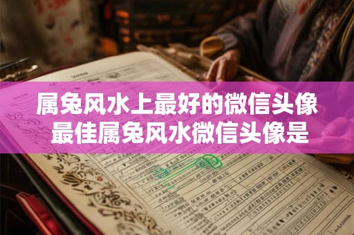 属兔风水上最好的微信头像 最佳属兔风水微信头像是什么