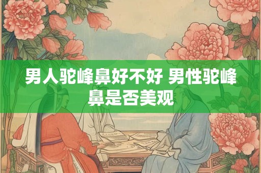 男人驼峰鼻好不好 男性驼峰鼻是否美观