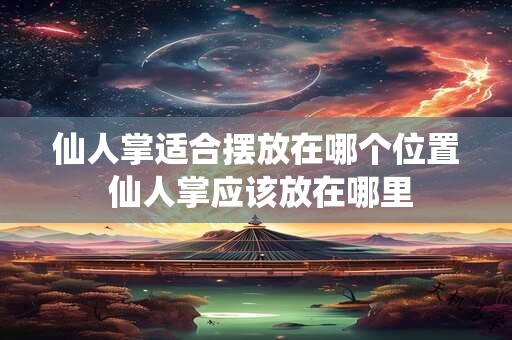 仙人掌适合摆放在哪个位置 仙人掌应该放在哪里