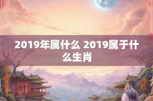 2019年属什么 2019属于什么生肖