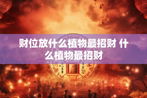 财位放什么植物最招财 什么植物最招财 财位放什么植物最招财 什么植物最招财