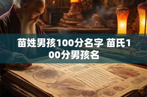 苗姓男孩100分名字 苗氏100分男孩名