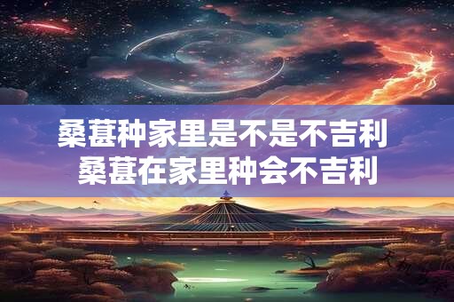 桑葚种家里是不是不吉利 桑葚在家里种会不吉利
