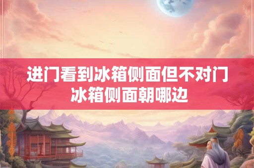 进门看到冰箱侧面但不对门 冰箱侧面朝哪边