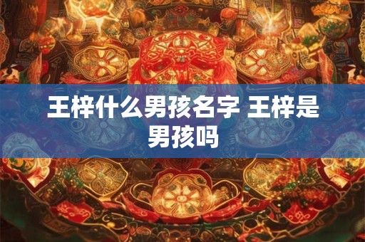 王梓什么男孩名字 王梓是男孩吗