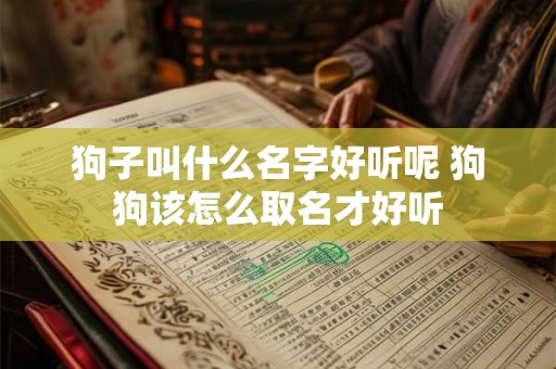 狗子叫什么名字好听呢 狗狗该怎么取名才好听