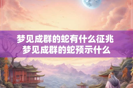 梦见成群的蛇有什么征兆 梦见成群的蛇预示什么