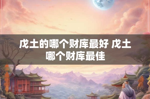 戊土的哪个财库最好 戊土哪个财库最佳