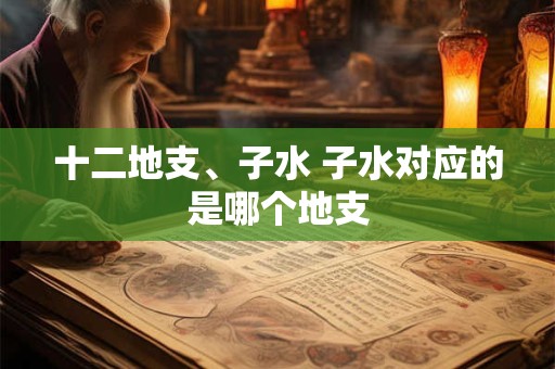 十二地支、子水 子水对应的是哪个地支