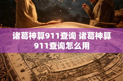 诸葛神算911查询 诸葛神算911查询怎么用
