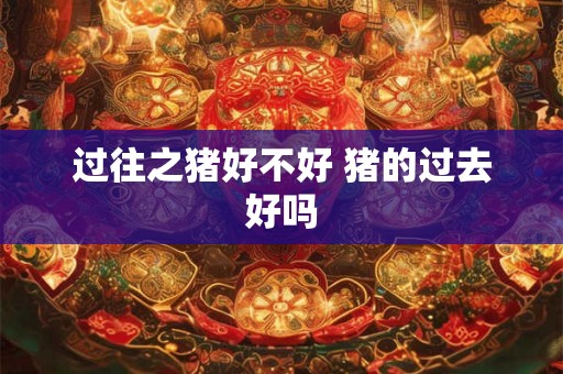 过往之猪好不好 猪的过去好吗