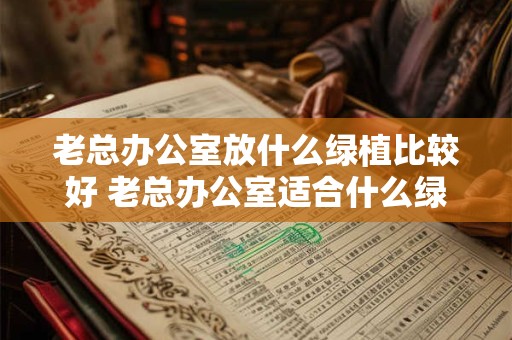 老总办公室放什么绿植比较好 老总办公室适合什么绿植