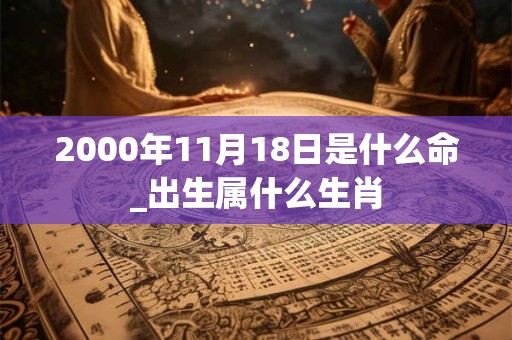 2000年11月18日是什么命_出生属什么生肖