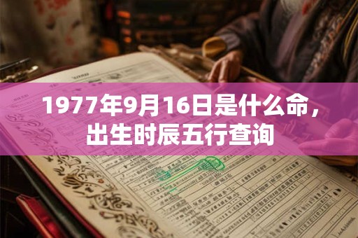 1977年9月16日是什么命,出生时辰五行查询 1977年9月16日是什么命,出生时辰五行查询