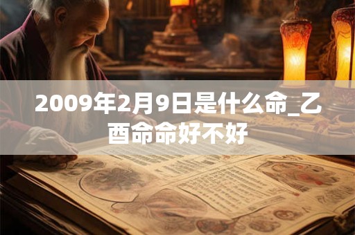 2009年2月9日是什么命_乙酉命命好不好