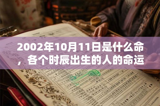 2002年10月11日是什么命,各个时辰出生的人的命运 2002年10月11日是什么命,各个时辰出生的人的命运