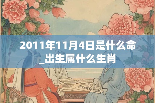 2011年11月4日是什么命_出生属什么生肖