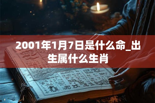2001年1月7日是什么命_出生属什么生肖
