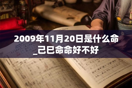 2009年11月20日是什么命_己巳命命好不好 2009年11月20日是什么命_己巳命命好不好