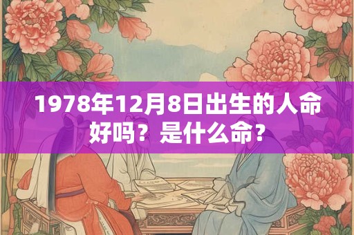 1978年12月8日出生的人命好吗？是什么命？