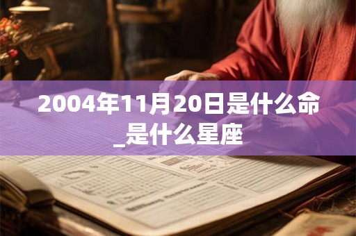 2004年11月20日是什么命_是什么星座